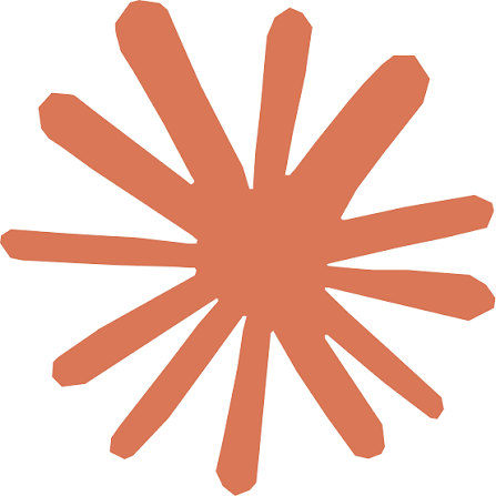 Zoom logo